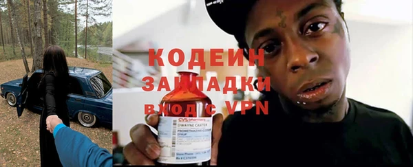 шишки Белокуриха
