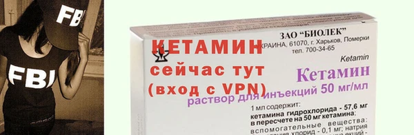 шишки Белокуриха