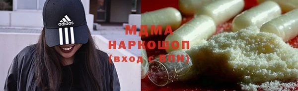 шишки Белокуриха