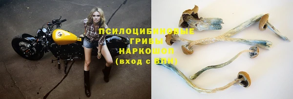 гашик Белоозёрский