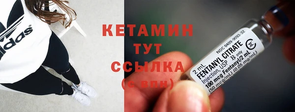 шишки Белокуриха