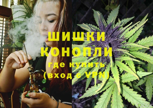стаф Беломорск