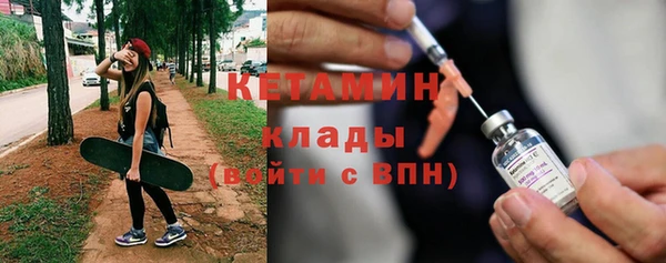 шишки Белокуриха