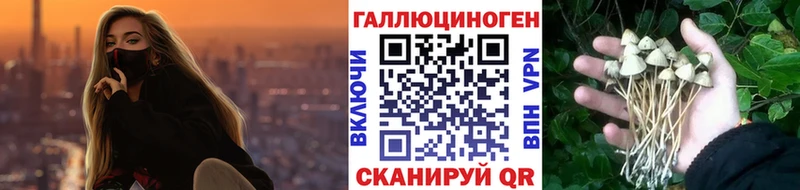 Галлюциногенные грибы Cubensis Гаврилов-Ям